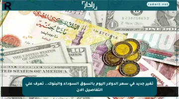 تغير جديد في سعر الدولار اليوم بالسوق السوداء والبنوك.. تعرف على التفاصيل الآن